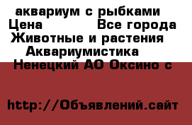 аквариум с рыбками › Цена ­ 1 000 - Все города Животные и растения » Аквариумистика   . Ненецкий АО,Оксино с.